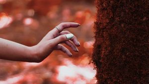 Preview wallpaper hand, tree, moss, touch