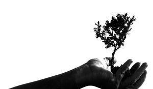 Preview wallpaper hand, wood, earth, bw