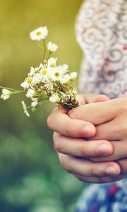 Preview wallpaper hands, bouquet, flowers, girl