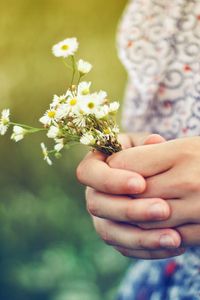 Preview wallpaper hands, bouquet, flowers, girl