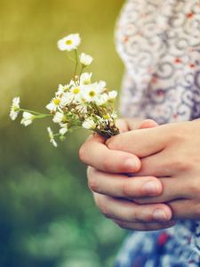 Preview wallpaper hands, bouquet, flowers, girl