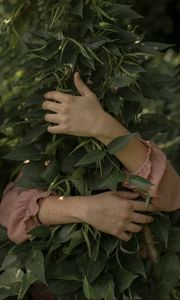 Preview wallpaper hands, branches, leaves, hugs