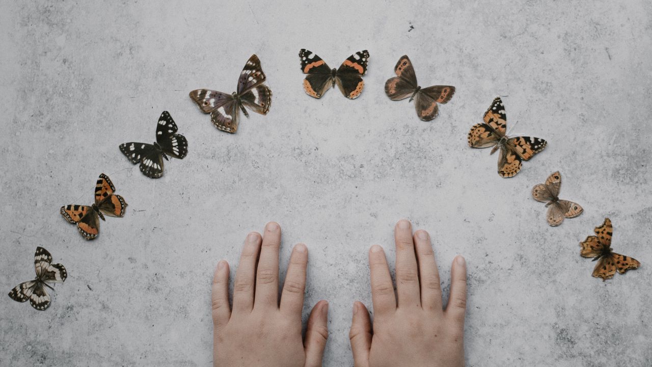 Wallpaper hands, butterflies, background, minimalism