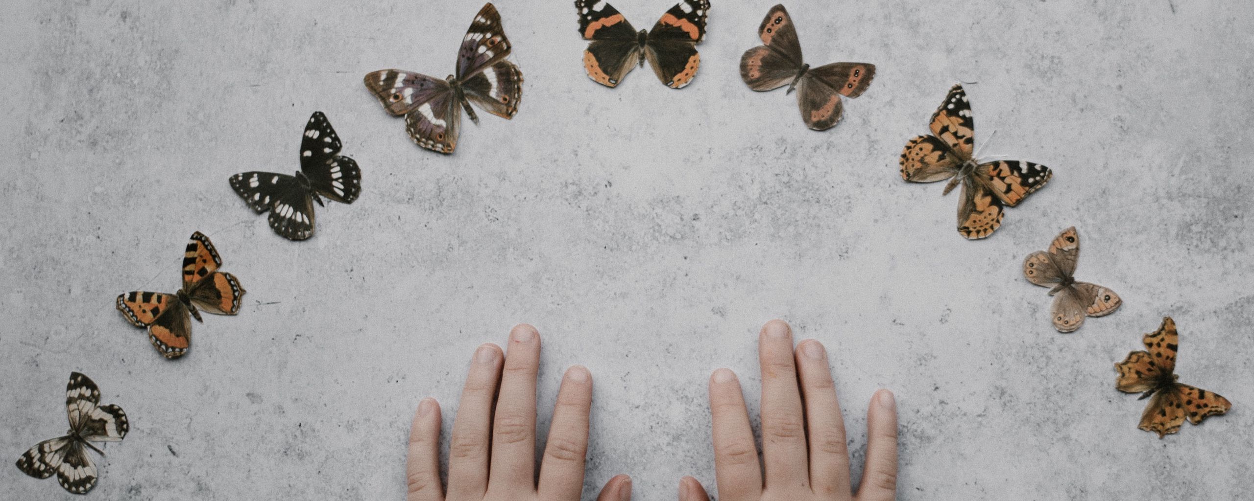 Download wallpaper 2560x1024 hands, butterflies, background, minimalism