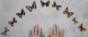 Preview wallpaper hands, butterflies, background, minimalism