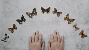 Preview wallpaper hands, butterflies, background, minimalism