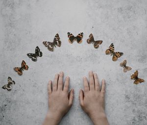 Preview wallpaper hands, butterflies, background, minimalism
