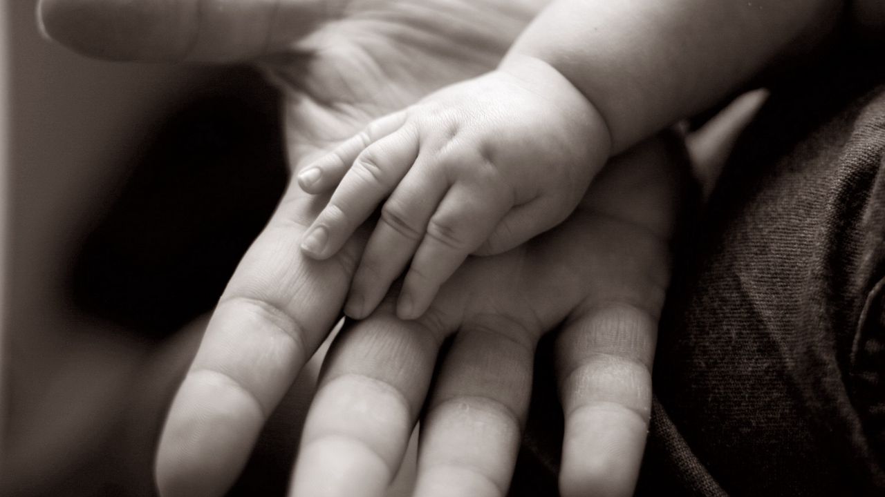 Wallpaper hands, child, adult, arm, care