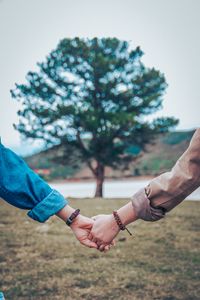 Preview wallpaper hands, couple, tree, tenderness, blur