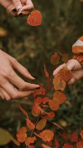 Preview wallpaper hands, fingers, leaves, branches, autumn