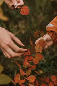 Preview wallpaper hands, fingers, leaves, branches, autumn