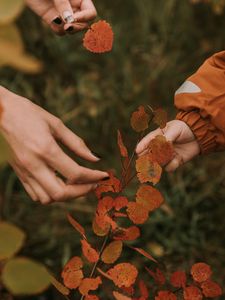Preview wallpaper hands, fingers, leaves, branches, autumn