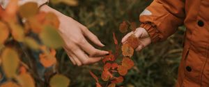 Preview wallpaper hands, fingers, leaves, branches, autumn