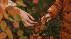 Preview wallpaper hands, fingers, leaves, branches, autumn