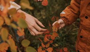 Preview wallpaper hands, fingers, leaves, branches, autumn