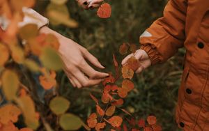 Preview wallpaper hands, fingers, leaves, branches, autumn