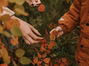 Preview wallpaper hands, fingers, leaves, branches, autumn