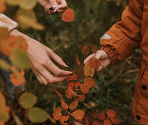 Preview wallpaper hands, fingers, leaves, branches, autumn