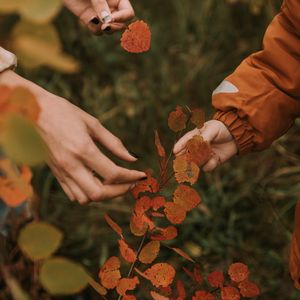 Preview wallpaper hands, fingers, leaves, branches, autumn