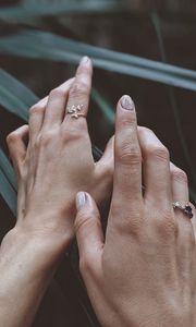 Preview wallpaper hands, fingers, leaves, plant