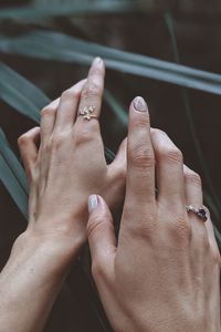 Preview wallpaper hands, fingers, leaves, plant