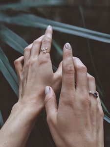 Preview wallpaper hands, fingers, leaves, plant