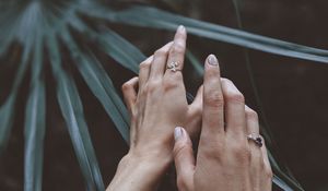 Preview wallpaper hands, fingers, leaves, plant