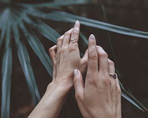 Preview wallpaper hands, fingers, leaves, plant