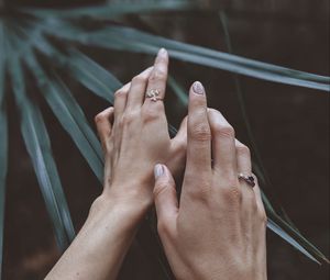 Preview wallpaper hands, fingers, leaves, plant