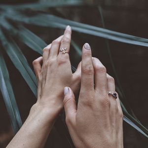 Preview wallpaper hands, fingers, leaves, plant