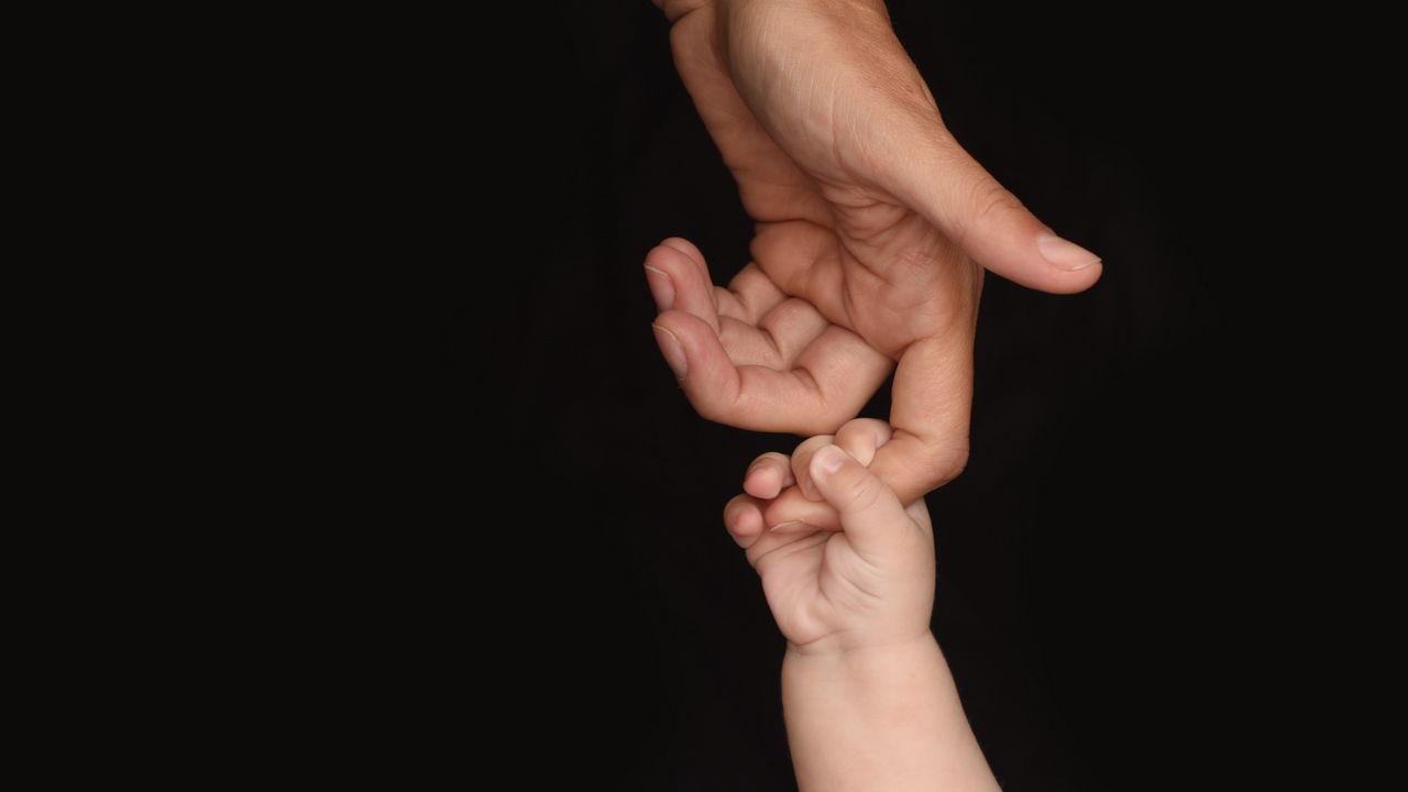Wallpaper hands, fingers, touch, child, parent