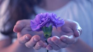 Preview wallpaper hands, flower, stem, palm