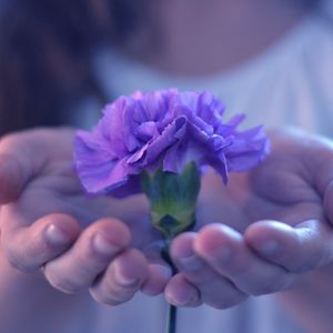 Preview wallpaper hands, flower, stem, palm