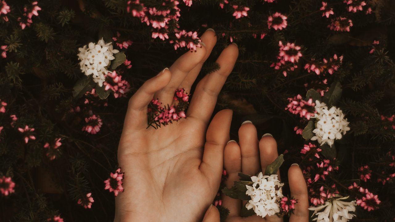 Wallpaper hands, flowers, leaves, tenderness