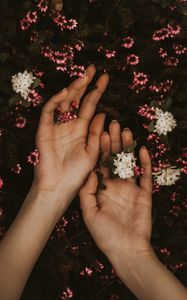 Preview wallpaper hands, flowers, leaves, tenderness