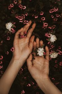 Preview wallpaper hands, flowers, leaves, tenderness