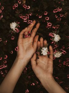 Preview wallpaper hands, flowers, leaves, tenderness