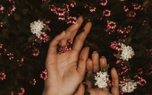 Preview wallpaper hands, flowers, leaves, tenderness