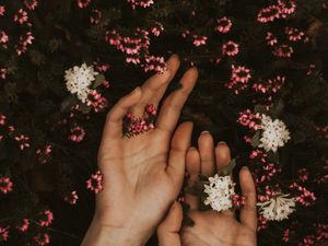 Preview wallpaper hands, flowers, leaves, tenderness