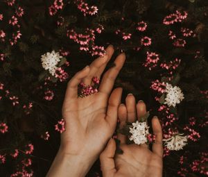 Preview wallpaper hands, flowers, leaves, tenderness