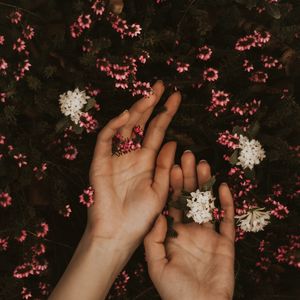 Preview wallpaper hands, flowers, leaves, tenderness
