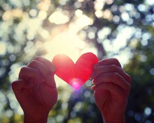 Preview wallpaper hands, heart, light, trees, leaves