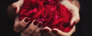 Preview wallpaper hands, rose, petals, red, manicure