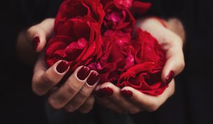 Preview wallpaper hands, rose, petals, red, manicure