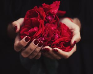 Preview wallpaper hands, rose, petals, red, manicure