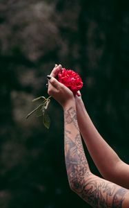 Preview wallpaper hands, rose, tattoos