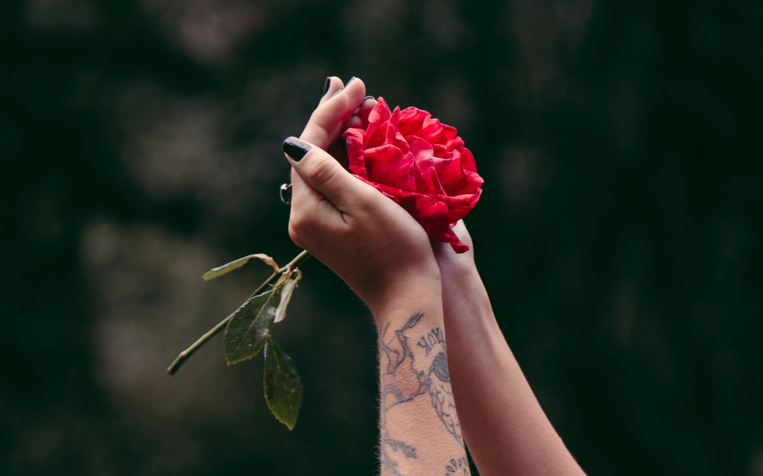 Песня держа в руках цветов букет. Цветок на руку.. Девушка с розой в руках. Цветы в руках у девушки.