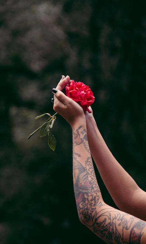 Rose Noir Tattoo Studio  Tattoos