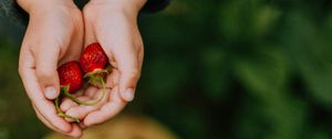 Preview wallpaper hands, strawberry, berry, fruit, focus