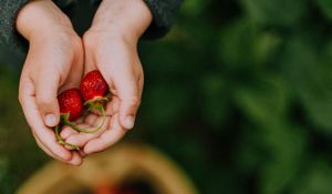 Preview wallpaper hands, strawberry, berry, fruit, focus